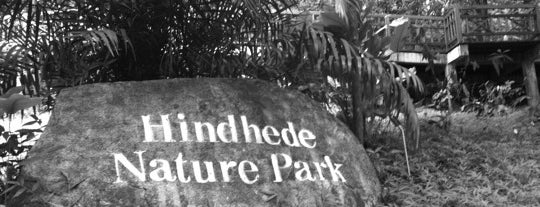 Hindhede Nature Park is one of Nature Parks (Singapore).