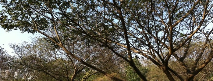 Parque Villa-Lobos is one of Habitue.