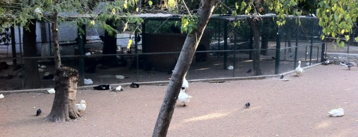 National Garden is one of Athens sights&food.