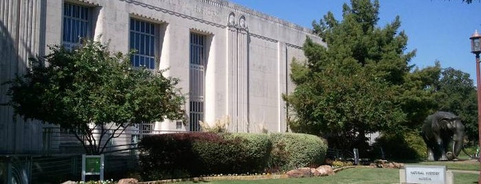 Museum of Nature & Science is one of Fair Park Landmarks, Buildings, Museums.
