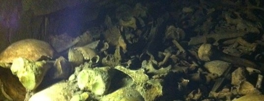 Catacombs of Paris is one of DarkAnkh's favorite places.