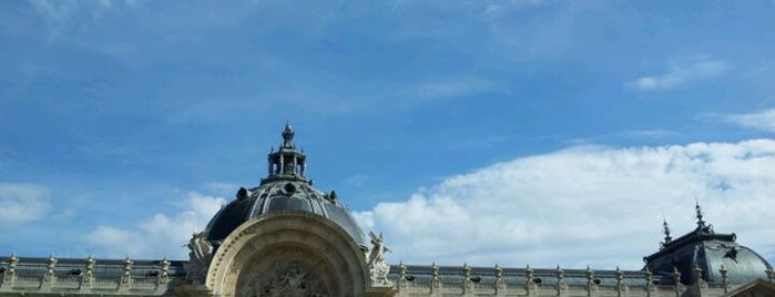 Petit Palais is one of Must-visit Arts & Entertainment in Paris.