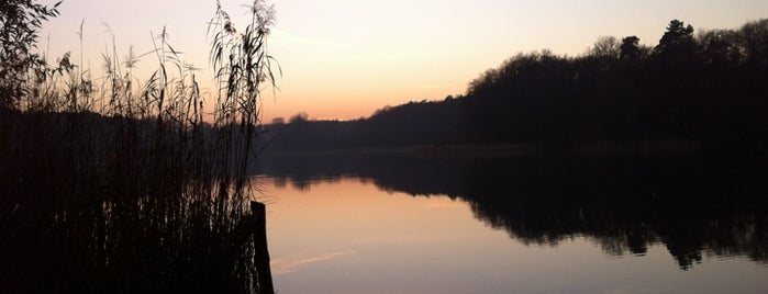 Grunewaldsee is one of Grünes Berlin.