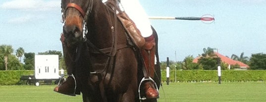 Grand Champions Polo Club is one of outdoor adventures.