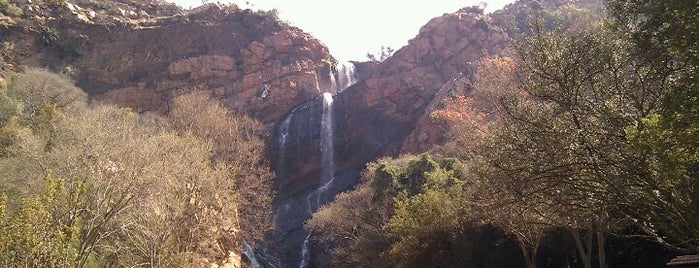 Walter Sisulu National Botanical Gardens is one of World Sites.