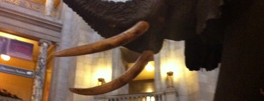 Smithsonian National Museum of Natural History is one of DC List.