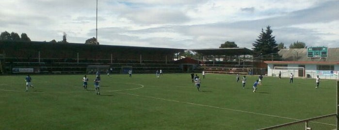 Estadio Félix Gallardo is one of Valdivia.
