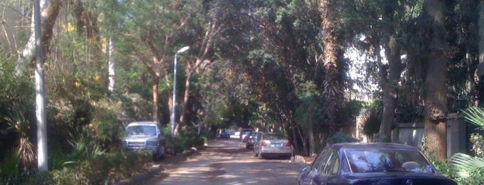 Maadi is one of Mohamed’s Liked Places.