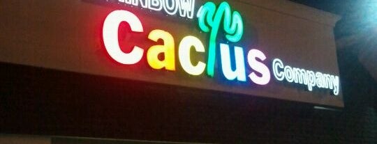 Rainbow Cactus Company is one of Great GLBT Places.