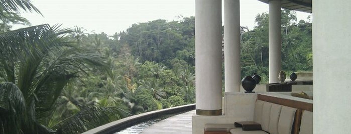 Four Seasons Resort Bali at Sayan is one of Four Seasons Hotels.