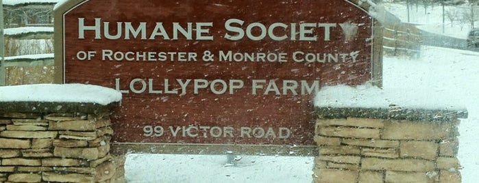 Lollypop Farm, the Humane Society of Greater Rochester is one of Orte, die MSZWNY gefallen.