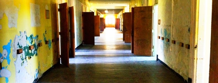 Trans-Allegheny Lunatic Asylum is one of Museums.