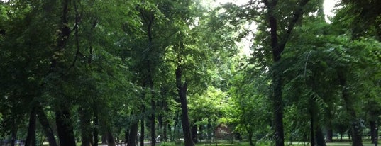 Parcul Kiseleff is one of Top 10 favorites places in București, Romania.