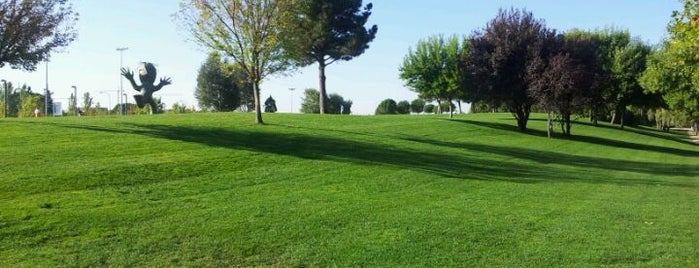 Parque Juan Carlos I is one of Conoce Madrid.