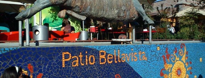 Patio Bellavista is one of Turistas brasileiros em Santiago do Chile.