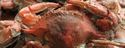 Best of the Bay - Crab Houses of Maryland