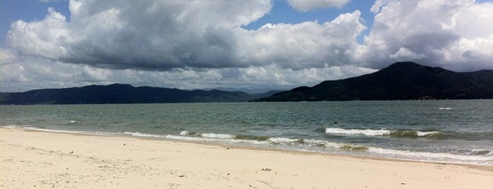 Praia da Daniela is one of Praias de Florianópolis.