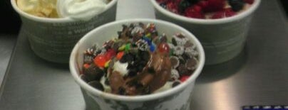 di'lishi frozen yogurt bar is one of North Carolina.