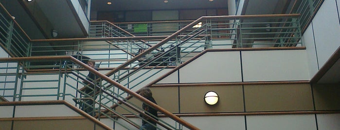 Communication & Information Sciences Building (CIS) is one of USF Guide.