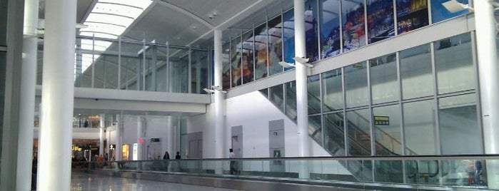 Международный аэропорт Торонто Пирсон (YYZ) is one of Airports in US, Canada, Mexico and South America.