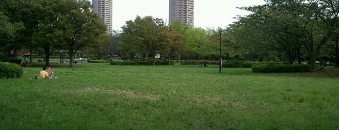 Sarue Onshi Park is one of Parks & Gardens in Tokyo / 東京の公園・庭園.