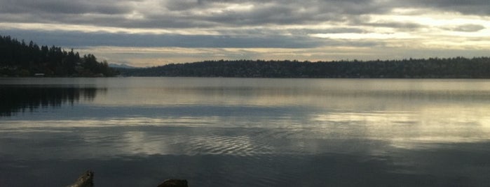 Seward Park is one of Seattle's Best Views.