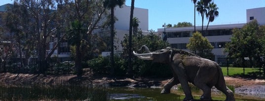 Page Museum at the La Brea Tar Pits is one of I <3 L.A..