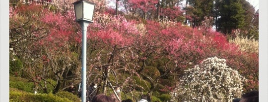 Ikegami Baien Plum Tree Garden is one of JPN00/6-V(6).