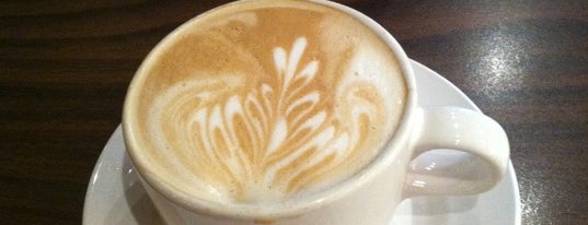 Karen Carr is one of The 15 Best Places for Espresso in Tampa.