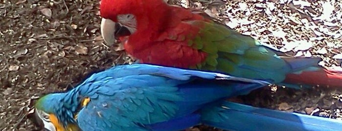 Parque Zoológico de Quilpué is one of Lieux qui ont plu à Catherine.