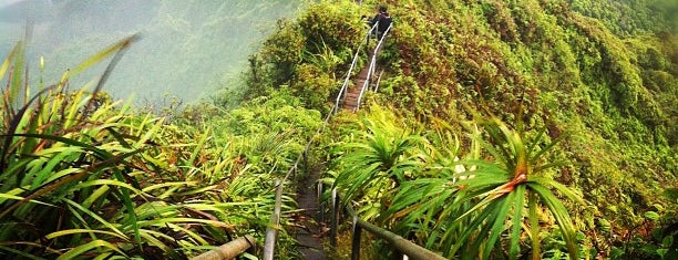 Stairway To Heaven is one of Hawaii - Oahu.