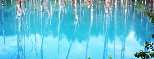 Shirogane Blue Pond is one of Cool JAPAN,Amazing JAPAN.