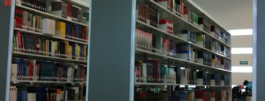 Biblioteca is one of Bibliotecas en Monterrey/ZMM/AMM.