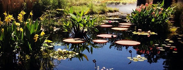 Denver Botanic Gardens is one of I did it in 2018.