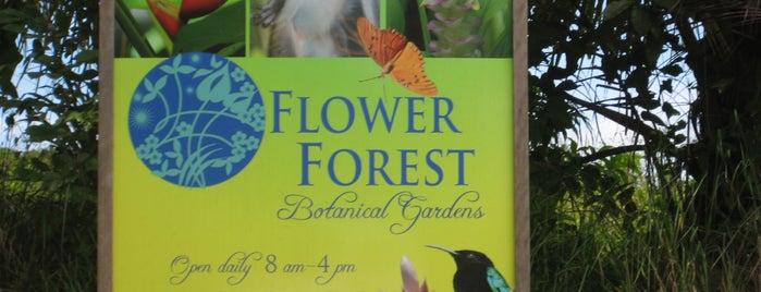 Flower Forest is one of Barbados attractions & activities.