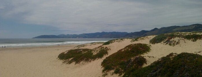 Pismo State Beach is one of Places to Visit: California Coast.