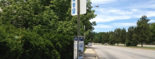 MTA Bus Stop - York Rd is one of MTA Maryland Bus Stops & Lines.