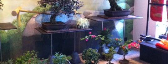 Crespi Bonsai is one of Shopping Milan.