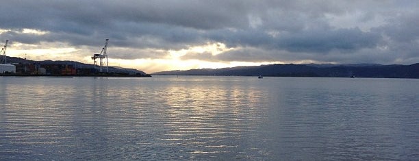 Wellington Waterfront is one of Lugares favoritos de Adam.