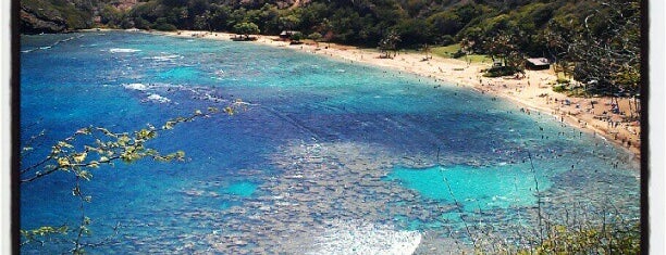 Hanauma Bay Nature Preserve is one of Hawaii 2014.