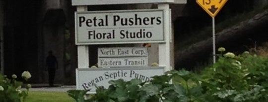 Petal Pushers is one of OT.