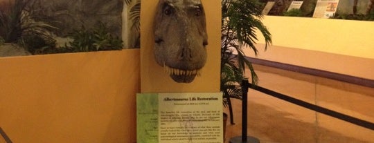 The Dinosaur Resource Center is one of Museums-List 4.