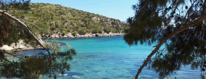 Cala Moresca is one of Spiagge della Sardegna.