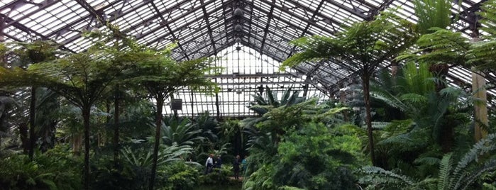 Garfield Park Conservatory is one of Chicago.
