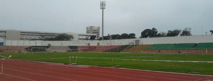 Estadio Elías Figueroa Brander is one of Estadios.