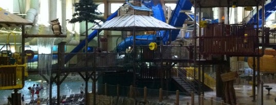 Great Wolf Lodge is one of Surviving the Frigid Cincinnati Winter with Kids.