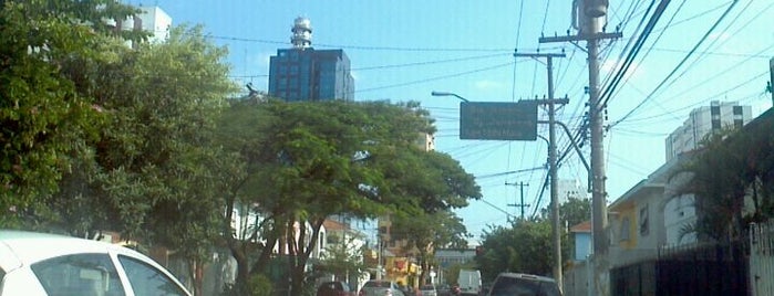 Avenida Portugal is one of Principais Avenidas de São Paulo.
