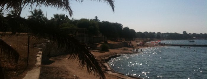Yeşilkent Plajı is one of สถานที่ที่ Aslı ถูกใจ.