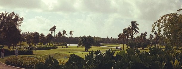Golf Miami-Dade