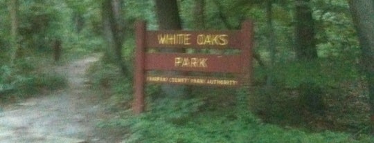 White Oaks Park is one of NOVA parks.